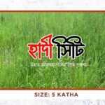 5 katha plot for sale in purbachal